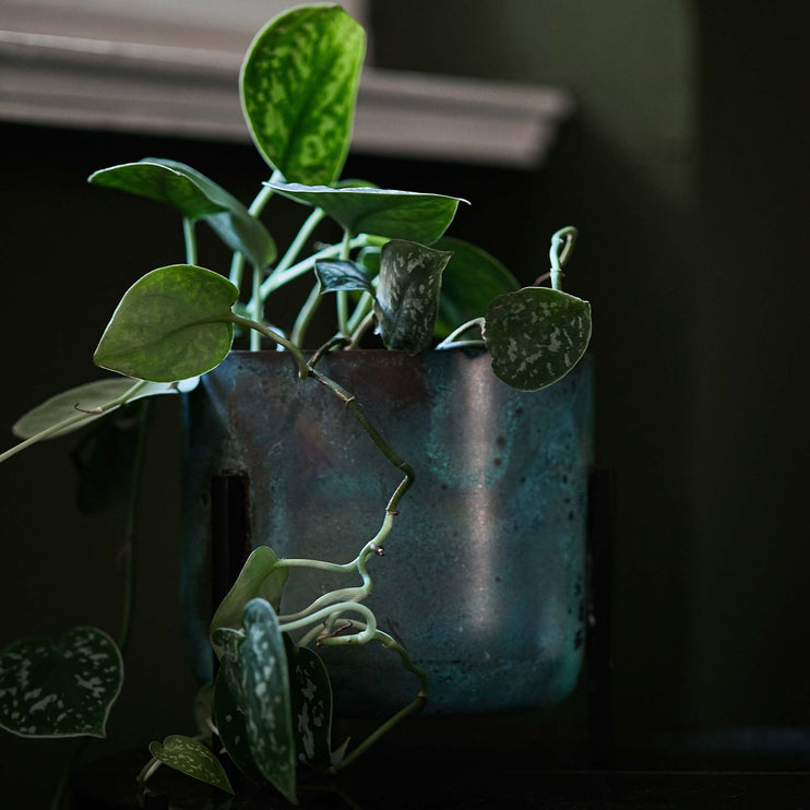 Pflanzenkorb Zaroliin Türkis & Schwarz | Schöne Ideen für Ihr Zuhause | URBANARA