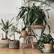 Natural Palu Hocker | Home & Living inspiration | URBANARA