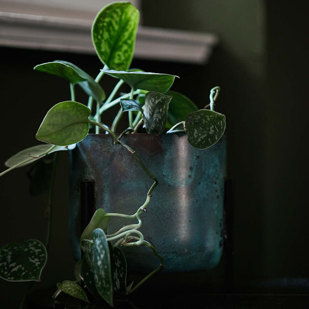 Pflanzenkorb Zaroliin Türkis & Schwarz | Schöne Ideen für Ihr Zuhause | URBANARA